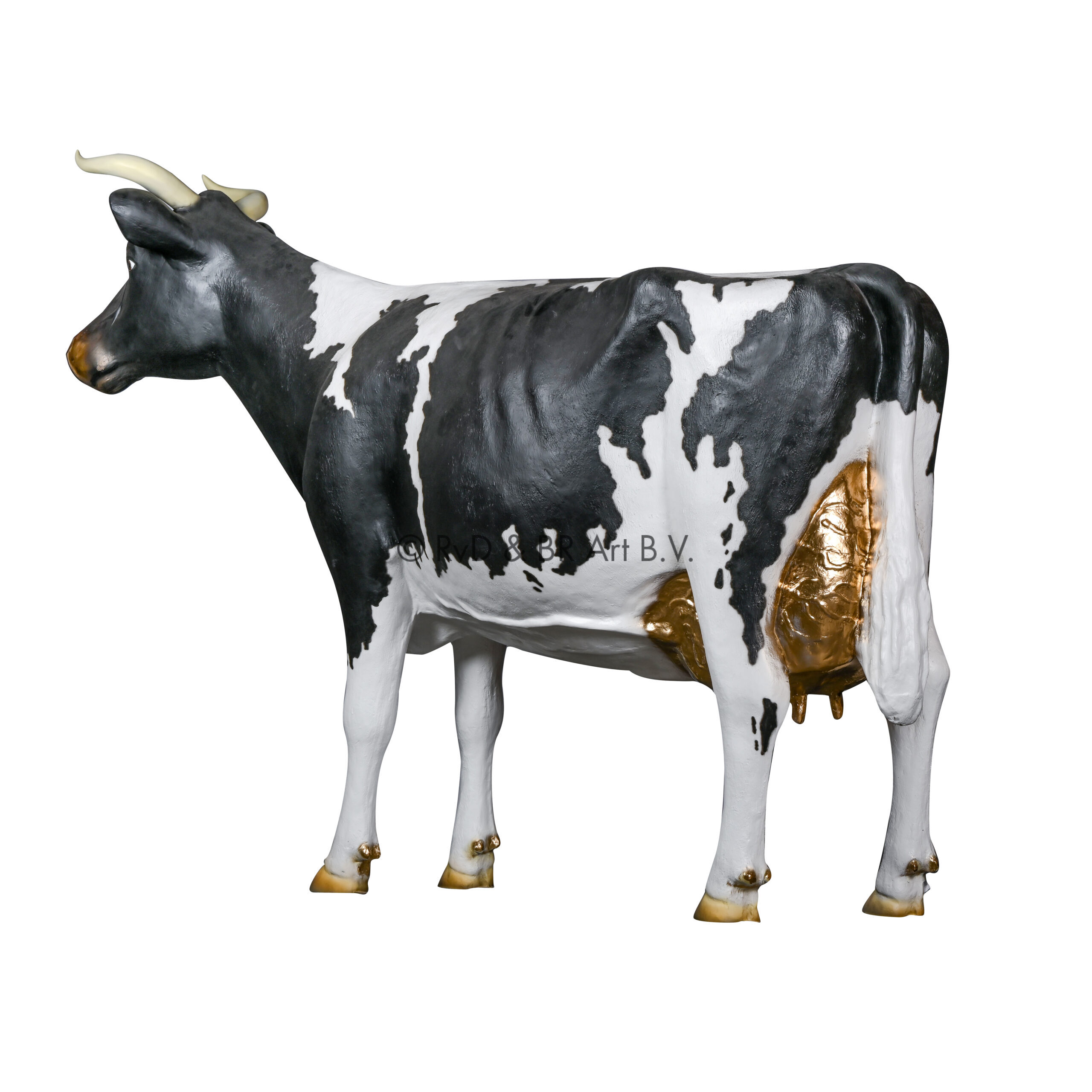 foto5-WDS_6918